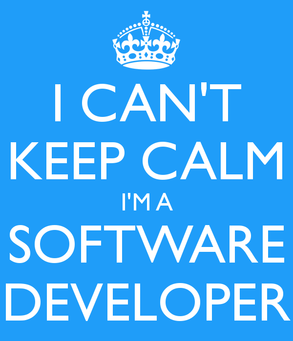 junior software developer