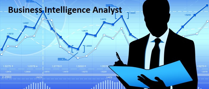 Business Intelligence Analyst